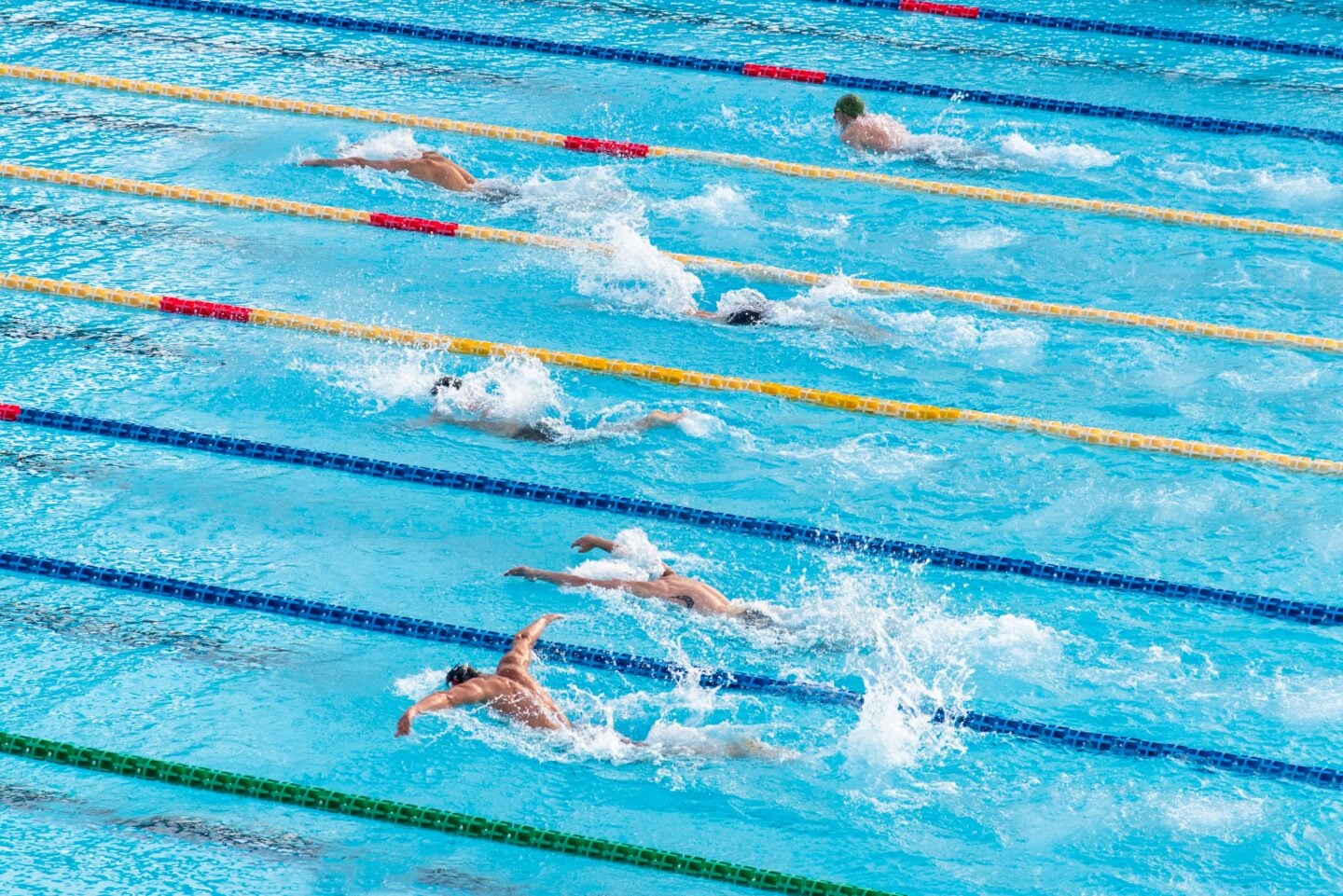 A top down photo of people swimming in the lanes of a pool